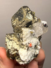 Load image into Gallery viewer, New Find: Huanzala Mine Peru Sphalerite + Chalcopyrite + Apatite + Calcite + Quartz | Collector Display Specimen
