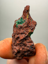 Load image into Gallery viewer, Brochantite Collector Mineral Specimen – Vivid Green Copper Crystals from Morocco
