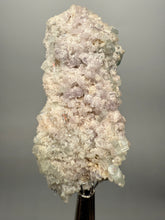 Load image into Gallery viewer, Light Purple Lepidolite with Light Green Tourmaline on Matrix – Pakistan Mineral Specimen | Collector Grade
