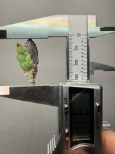 Load image into Gallery viewer, High-Grade Green Wavellite Collectors Specimen - Radiating Botryoidal Crystal Formation - Arkansas, USA
