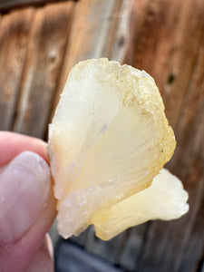 Golden Yellow Stilbite • Maharashtra, India