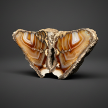 Load image into Gallery viewer, High-Grade Indonesian Sumatra Agate Pair – Vibrant Banded Chalcedony with Rich Color Zoning | Ethical Lapidary &amp; Collector Display Specimens
