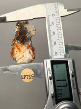 Load image into Gallery viewer, Natural Vanadinite on Matrix | Collector Mineral Specimen | Morocco
