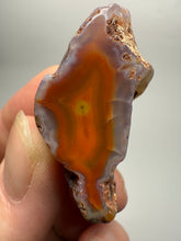 Load image into Gallery viewer, Lot of 9 Small Malawi Agate Halves – Polished Rare Colorful Collector Specimens
