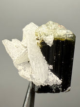 Load image into Gallery viewer, Dark Green Cap Stak Nala Tourmaline with Cleavelandite Flower – Haramosh Mountains, Pakistan | Thumbnail Specimen
