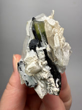 Load image into Gallery viewer, Dark Green Cap Stak Nala Tourmaline &amp; Cleavelandite on Quartz Matrix – Haramosh Mountains, Pakistan
