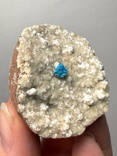 Load image into Gallery viewer, Rare Electric Blue Cavansite on Druzy Matrix – Collector Mineral Specimen | India
