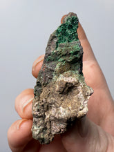 Load image into Gallery viewer, Brochantite Collector Mineral Specimen – Vivid Green Copper Crystals from Morocco
