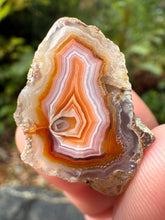 Load image into Gallery viewer, High-Grade Parallax Banded Laguna Agate – Bright Orange, Red, &amp; White Banding from Mexico
