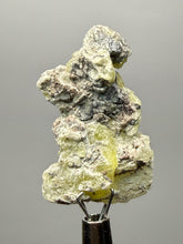 Load image into Gallery viewer, Vibrant Yellow Brucite Thumbnail Mineral Specimen | Collector Crystal from Killa Saifullah District in Balochistan Province, Pakistan

