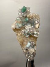 Load image into Gallery viewer, Blue-Green Chrysocolla in Botryoidal Chalcedony Cabinet Specimen | Indonesia
