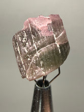 Load image into Gallery viewer, Raw Bi-Color Tourmaline Crystal Specimen | Ocean View Mine, Pala, California, USA

