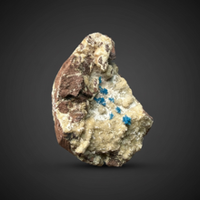 Load image into Gallery viewer, Rare Electric Blue Pentagonite on Druzy Matrix – Collector Mineral Specimen | India
