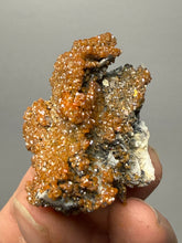 Load image into Gallery viewer, Natural Vanadinite on Matrix | Collector Mineral Specimen | Morocco
