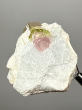 Load image into Gallery viewer, Watermelon Tourmaline on Matrix – Collector Mineral Specimen from Pakistan
