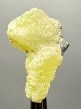 Load image into Gallery viewer, Vibrant Yellow Brucite Thumbnail Mineral Specimen | Collector Crystal from Killa Saifullah District in Balochistan Province, Pakistan
