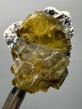 Load image into Gallery viewer, Vibrant Yellow Barite | Collector Display Specimen | Taourirt Mine, Morocco
