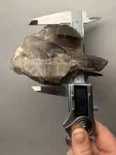 Load image into Gallery viewer, Natural Dark Smoky Quartz | Mineral Mountains UT | Raw Quartz Crystal Collector Specimen

