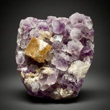 Load image into Gallery viewer, Golden Cubic Calcite on Amethyst Cluster | Maharashtra, India (Collector Specimen)
