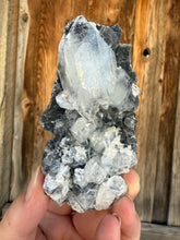 Load image into Gallery viewer, Clear Gem Apophyllite Cluster on black matrix • Maharashtra, India
