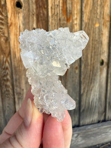 Gem Apophyllite Stalactite • Maharashtra, India