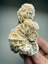 Load image into Gallery viewer, Desert Rose Selenite (Gypsum) — Mineral Display Specimen | Mexico
