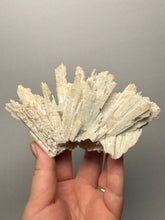 Load image into Gallery viewer, Rare Natural Anhydrite Collector Mineral Specimen | Brazil

