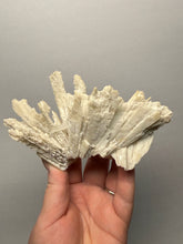 Load image into Gallery viewer, Rare Natural Anhydrite Collector Mineral Specimen | Brazil
