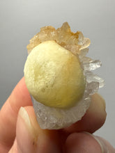 Load image into Gallery viewer, Rare Botryoidal Yellow Fluorite on Quartz Matrix  Collector Mineral Specimen – Maharashtra, India
