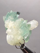 Load image into Gallery viewer, Luminous Mint Apophyllite with Glittering Druzy Sugar Quartz – India
