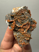 Load image into Gallery viewer, Natural Vanadinite on Matrix | Collector Mineral Specimen | Morocco
