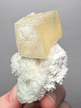 Load image into Gallery viewer, Rare Druzy Golden “Diamond” Calcite on Zeolite Matrix — Maharashtra, India | Collector Cabinet Specimen
