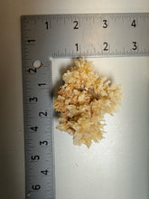 Load image into Gallery viewer, High-Grade Coral Aragonite Crystal Specimen – Wenshan Mine, Yunnan, China
