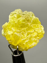 Load image into Gallery viewer, Vibrant Yellow Brucite Thumbnail Mineral Specimen | Collector Crystal from Killa Saifullah District in Balochistan Province, Pakistan
