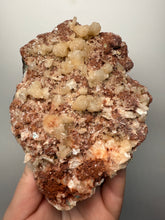 Load image into Gallery viewer, XL Shiny Peach Stilbite on Druzy Red Heulandite – High-Grade Collector Mineral Specimen from India
