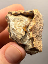 Load image into Gallery viewer, Premium Sumatra Agate (Banded Chalcedony) Display Specimen | Indonesia
