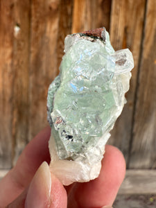Light Mint Green Radial (Disco Ball) Apophyllite + Stilbite • Maharashtra, India