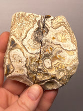 Load image into Gallery viewer, Premium Sumatra Agate Pair (Banded Chalcedony) Display Specimen | Indonesia
