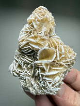 Load image into Gallery viewer, Desert Rose Selenite (Gypsum) — Mineral Display Specimen | Mexico

