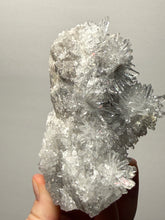 Load image into Gallery viewer, High-Grade Chrysanthemum Quartz (Needle Quartz) Spray Cluster | Jiangxi, China
