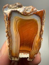Load image into Gallery viewer, High-Grade Indonesian Sumatra Agate Pair – Vibrant Banded Chalcedony with Rich Color Zoning | Ethical Lapidary &amp; Collector Display Specimens
