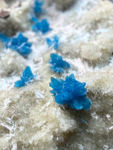 Load image into Gallery viewer, Rare Electric Blue Pentagonite on Druzy Matrix – Collector Mineral Specimen | India
