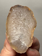 Load image into Gallery viewer, Natural Laguna Agate Collector Mineral Specimen | Chihuahua, Mexico
