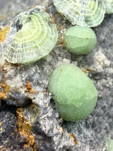 Load image into Gallery viewer, High-Grade Green Wavellite Collectors Specimen - Radiating Botryoidal Crystal Formation - Arkansas, USA
