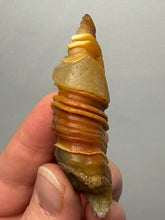 Load image into Gallery viewer, Naturally Sand-Chiseled Gobi Eye Agate | Inner Mongolia Desert Sculpted Specimen
