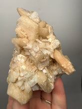 Load image into Gallery viewer, High-Grade Apophyllite on Pink Stilbite Zeolite | Indian Collector Mineral Specimen
