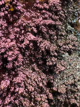 Load image into Gallery viewer, Iridescent Rainbow Turgite Mineral Specimen from Umklum Mountain, Thailand | Collector-Grade Rainbow Hematite Display Piece
