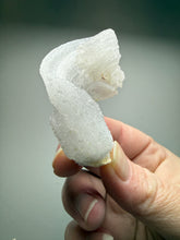 Load image into Gallery viewer, RARE COMBO Moroccan Ram’s Horn Selenite (Gypsum) with Purple Fluorite Display Specimen
