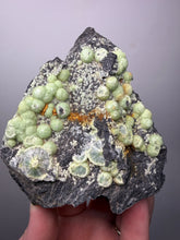 Load image into Gallery viewer, High-Grade Green Wavellite Collectors Specimen - Radiating Botryoidal Crystal Formation - Arkansas, USA
