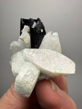 Load image into Gallery viewer, Dark Green Cap Stak Nala Tourmaline on Cleavelandite Matrix – Haramosh Mountains, Pakistan
